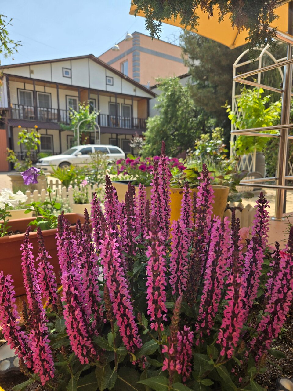 Гостиница Адмирал Нельсон Судак-4