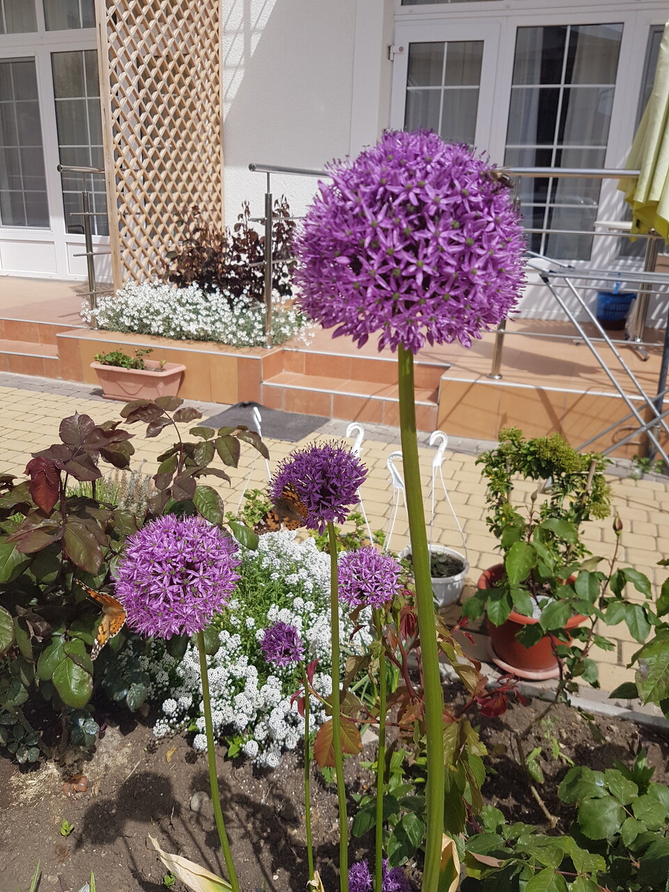 Гостиница Адмирал Нельсон Судак-33