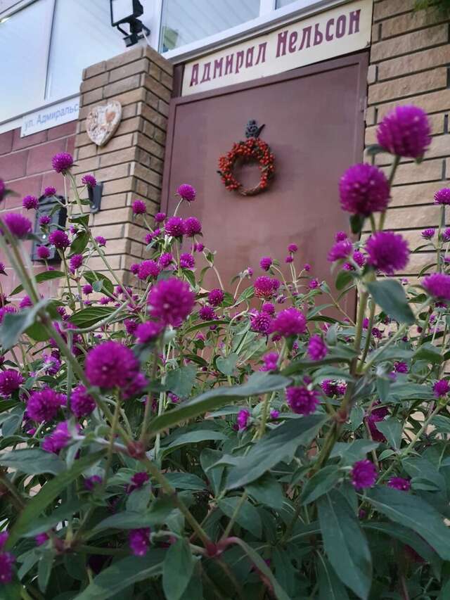 Гостиница Адмирал Нельсон Судак-80