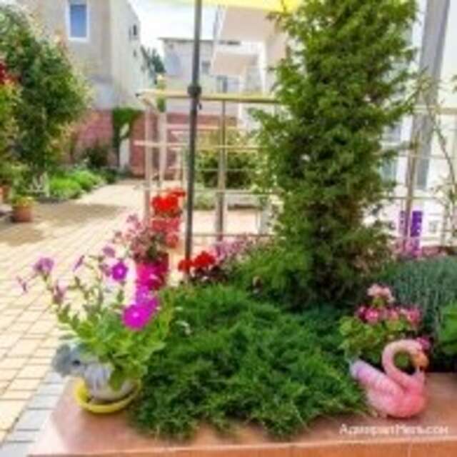 Гостиница Адмирал Нельсон Судак-50